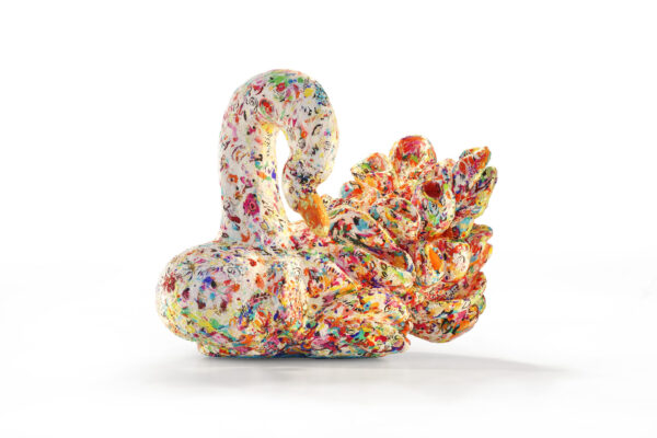 proud_swan_00134